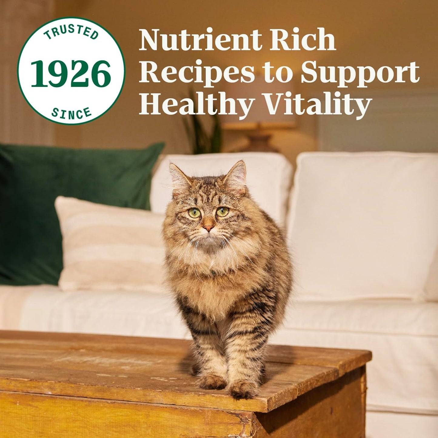 Wholesome Essentials Dry Cat Food, Adult Cat Food Dry Chicken & Brown Rice Recipe, 5 Lb. Bag