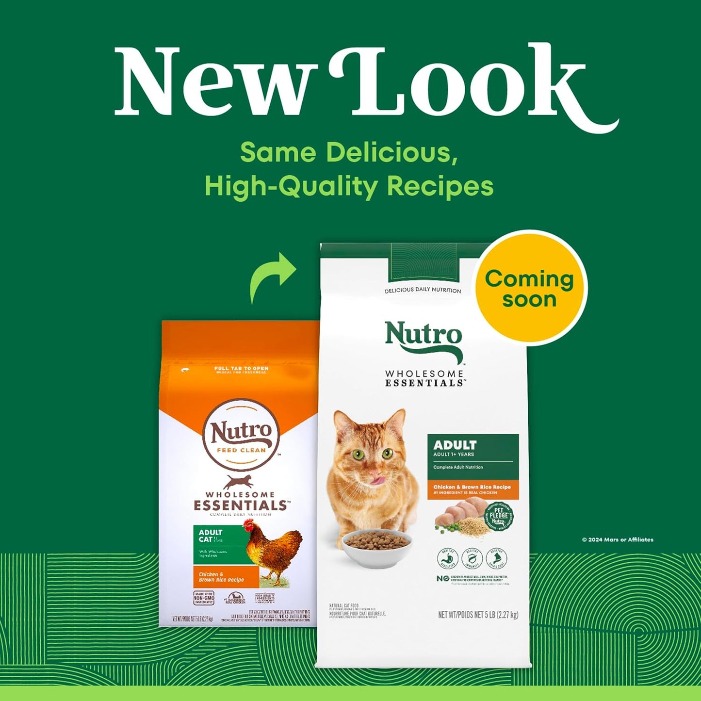 Wholesome Essentials Dry Cat Food, Adult Cat Food Dry Chicken & Brown Rice Recipe, 5 Lb. Bag
