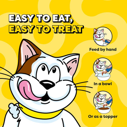 Creamy Puree Squeezable Lickable Cat Treats, Wet Cat Treats with Salmon, 0.42 Oz. Tubes, 24 Count - Packaging May Vary